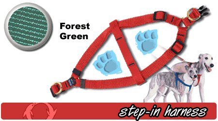 Step-In Harness, 1" x 22-33" - Forest Green, Large