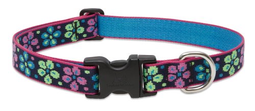 Lupine 1" Originals Collection - Flower Power, 16"-28" Adjustable Collar