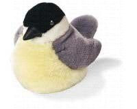 Audubon Chickadee