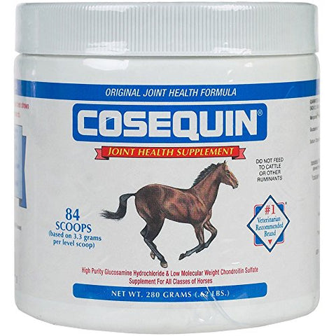 Durvet - Nutramax Labs - Cosequin Powder 280gm