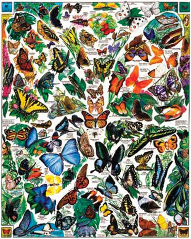 Butterflies of the World - 1000 Piece Jigsaw Puzzle