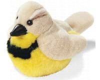 Audubon Western Meadowlark