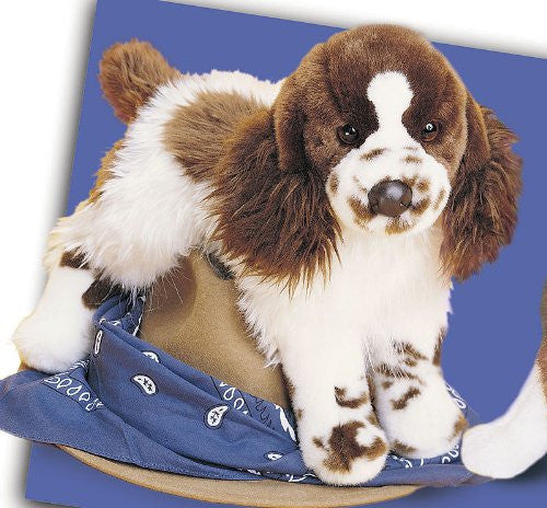 Ogilvy Springer Spaniel