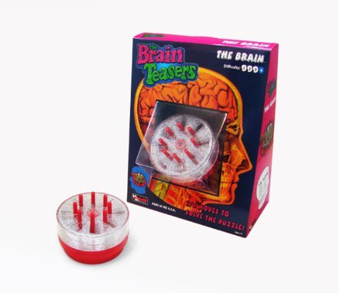 The Brain Puzzle