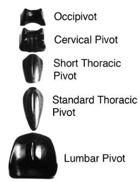 Soft tissue system, short thoracic pivot