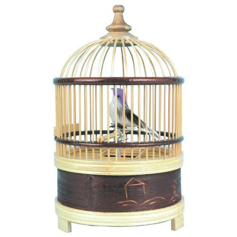 Singing Bird Cage