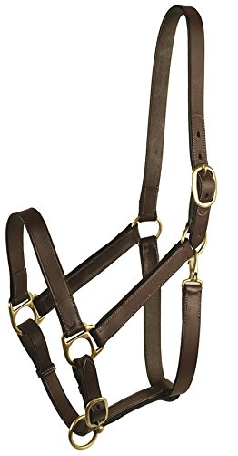 STABLE HALTER WITH SNAP HAVANNA BROWN HORSE