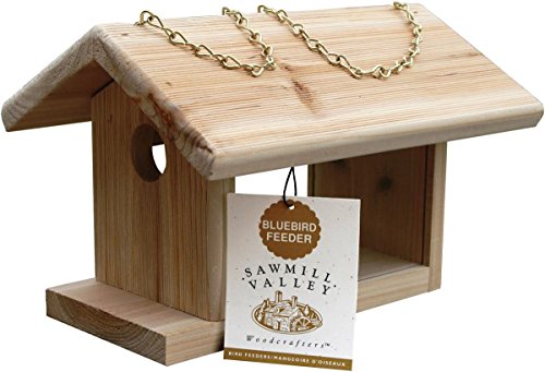 C&S Bluebird Feeder