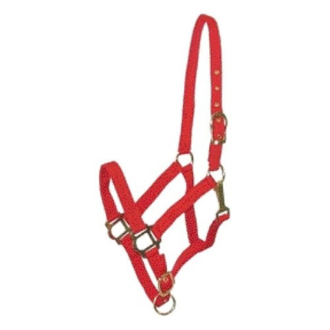 NYLON HALTER RED COBB