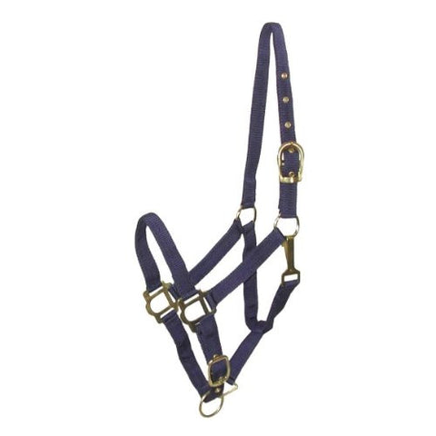 NYLON HALTER NAVY HORSE