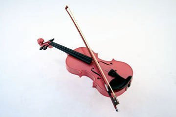4/4 Violin Starter Kit (Colour-Pink)