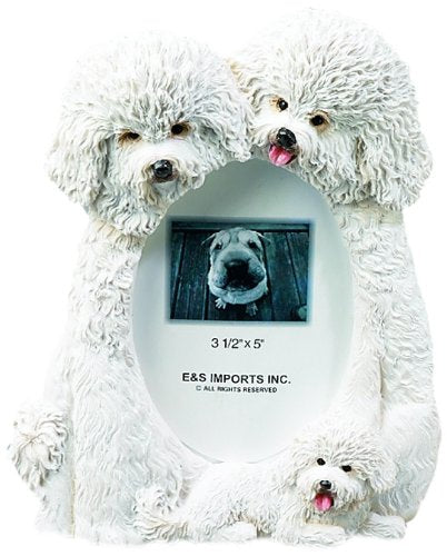 Large Dog Picture Frames - 3.5" x 5", Bichon Frise
