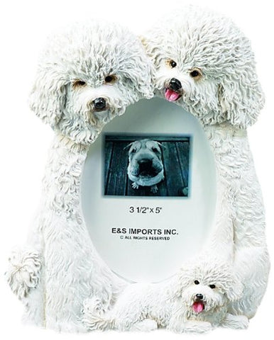 Large Dog Picture Frames - 3.5" x 5", Bichon Frise