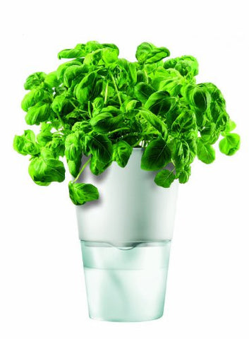 Herb Pot, Self-watering, Chalk White - 11cm