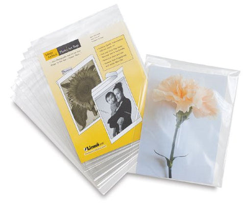 Photo/Art Bag 11" X 14", 10pk