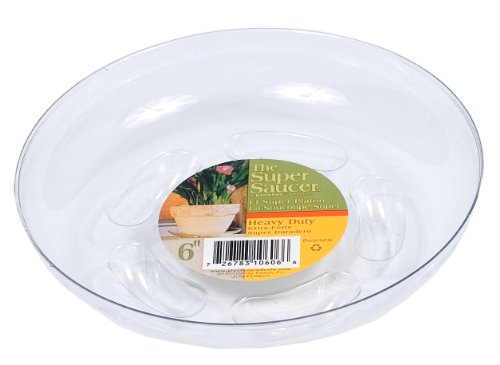 PLASTEC SS006 6" SUPER SAUCER 12/CS, 6"
