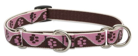 Lupine 3/4" Originals Collection - Tickled Pink, 10"-14" Combo Collar