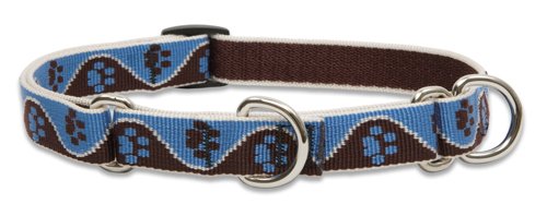 Lupine 3/4" Originals Collection - Muddy Paws, 14"-20" Combo Collar