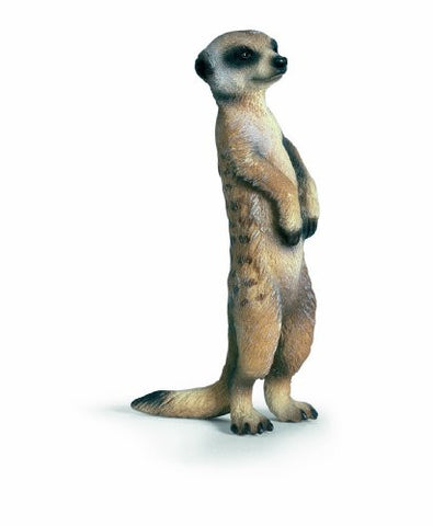 Schleich Meerkat, standing
