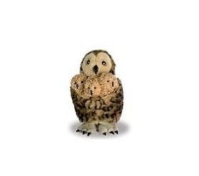 Mother Owl with 3 Babies