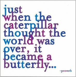 Magnet 3.5" Square - "just when the caterpillar thought the world was over, it became a butterfly…"