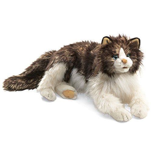 Cat Ragdoll, Hand Puppets