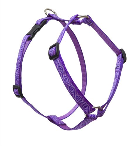 Lupine 3/4" Originals Collection - Jelly Roll, 20"-32" Roman Harness