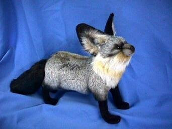 FOX, SOUTH AFRICAN 14''