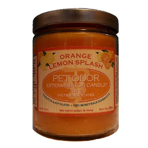 13oz Orange Lemon Splash Jar