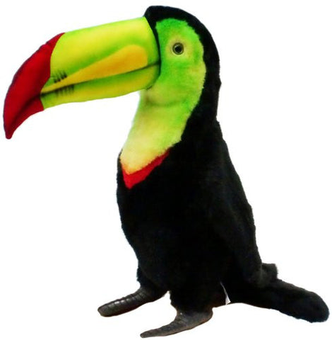 TOUCAN 13''