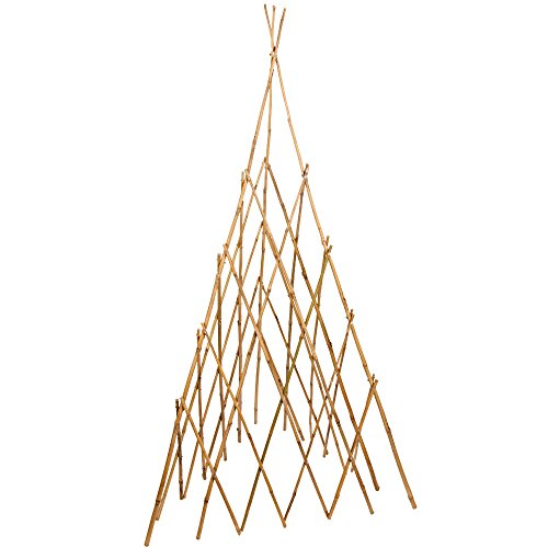 BOND TP60 60" TEEPEE TRELLIS