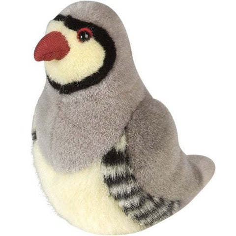 Audubon Red Leg Partridge