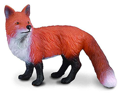 Red Fox, S