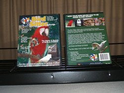 Bird Sitter DVD