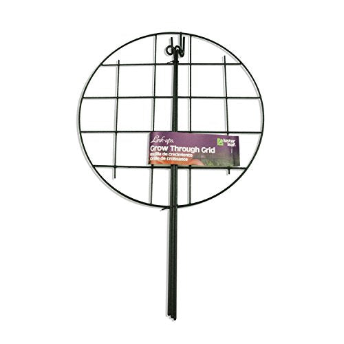 LUSTER LEAF 972 GROW THRU GRID w/24" LEGS, 16"