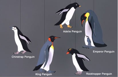 Penguin Combination - Mobile