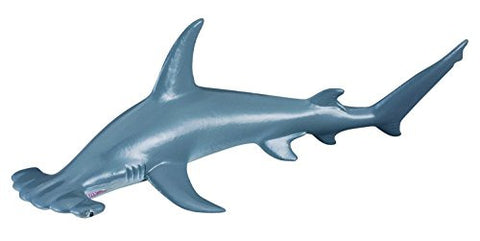 Scalloped Hammerhead Shark, M