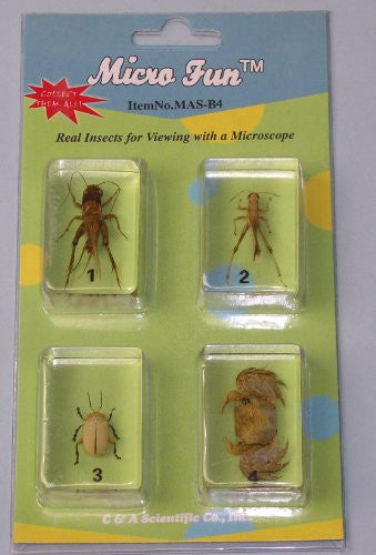 4 pcs Bug set