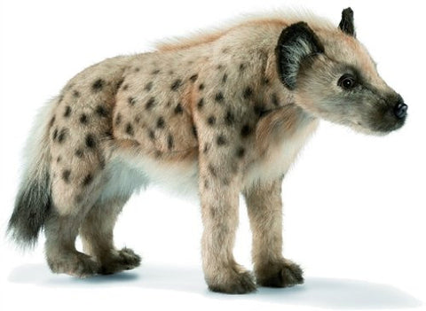 HYENA 9''