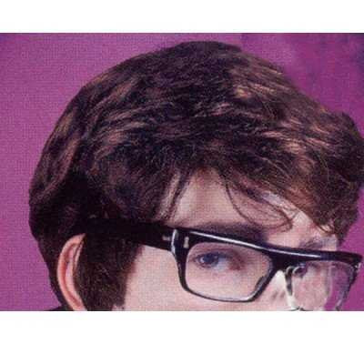 Character Wig - Brown