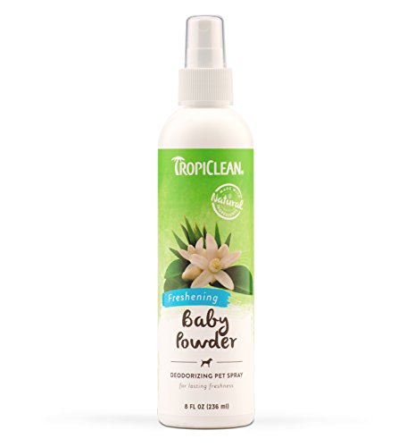 Baby Powder Cologne 8oz (not in pricelist)