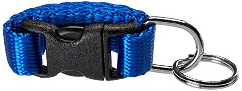 Cetacea Tag-It Pet ID Holder, Blue