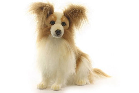 PAPILLION DOG 16''