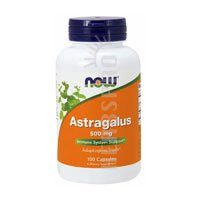 Astragalus 500 mg - 100 Caps