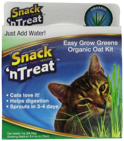 Easy Grow Oat Grass Kit
