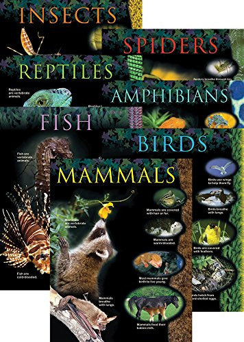 Animal Classification 7-Chart Pack