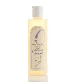 Shampoo, Lavender, 8 oz.