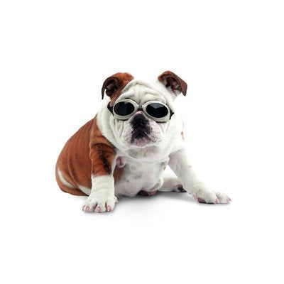Doggles ILS Silver Skull Frame/Smoke Lens, Small
