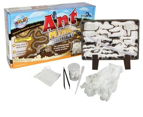 Ant Mine