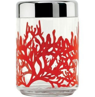 Mediterraneo Kitchen box with hermetic lid-h 5 in. 26 ½ oz